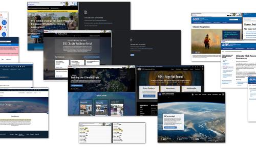 disappearing data collage