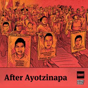“After Ayotzinapa” artwork. Credit: Dante Aguilera
