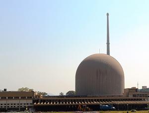 The Canada-India Utility Services (CIRUS) research reactor