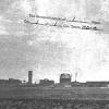 Dimona plant
