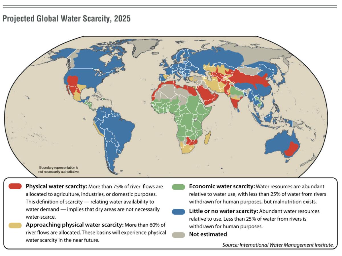 Projected Global Water Scarcity in 2025