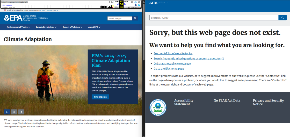 climate adaptation